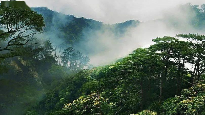 动物滑动拼图