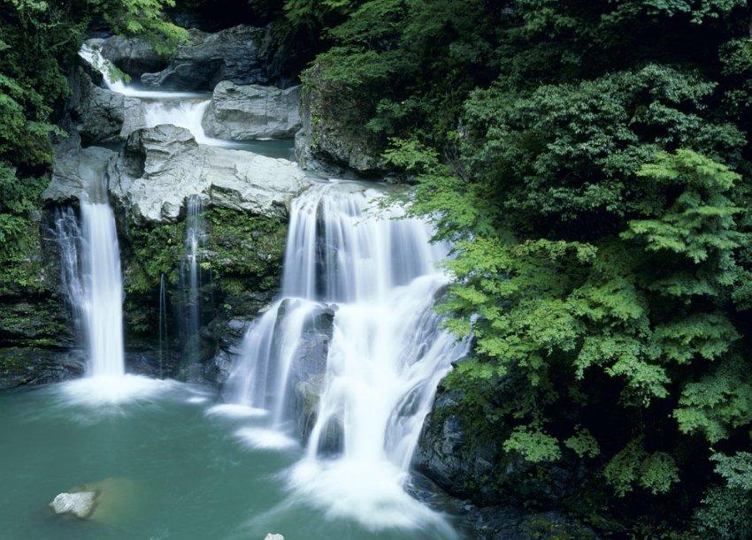 小僵尸射飞鸟